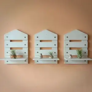 Modern Wall Mounted Decorative Shelf